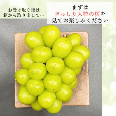 【2024年発送】シャインマスカット 晴王 約5kg 岡山県産 大房・大粒を厳選