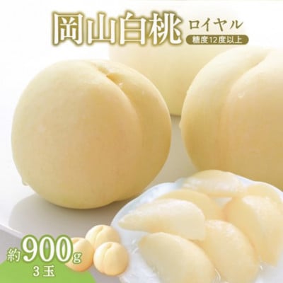 【2026年7月～8月頃発送分】岡山県産 白桃 特秀 ロイヤル 中玉 約900g 3玉