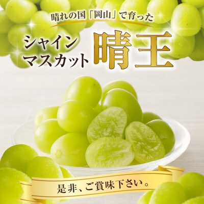 【2025年発送分 先行受付】岡山県産シャインマスカット「晴王」【ハウス栽培】(約2kg・3～5房)