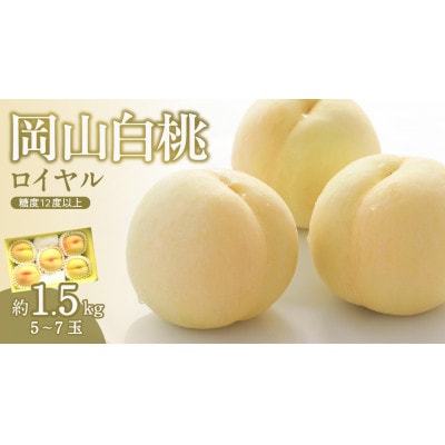 【2025年発送分 先行受付】岡山県産 白桃 最高ランク!ロイヤル 約1.5kg 5～7玉