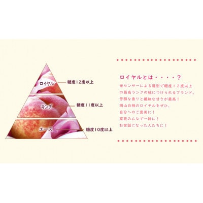 【2025年発送分 先行受付】岡山県産 白桃 最高ランク!ロイヤル 約1.5kg 5～7玉
