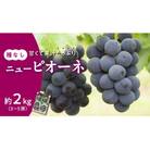 【2025年発送分 先行受付】岡山県産ニューピオーネ 秀品 約2kg(3～5房程度)