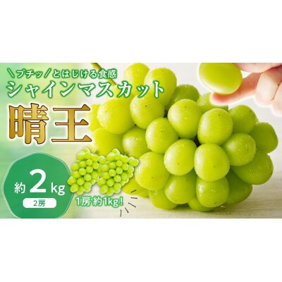 【2026年発送分 先行受付】岡山県産シャインマスカット「晴王」秀品(約1kg×2房)