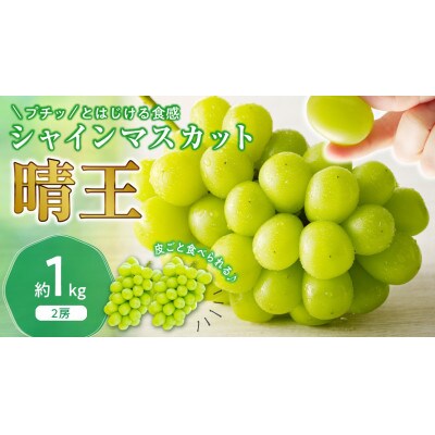 【2026年発送分 先行受付】岡山県産シャインマスカット「晴王」 秀品 1kg(2房)