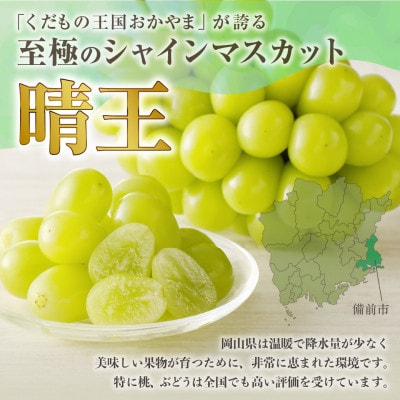 【2026年発送分 先行受付】岡山県産シャインマスカット「晴王」 秀品 1kg(2房)