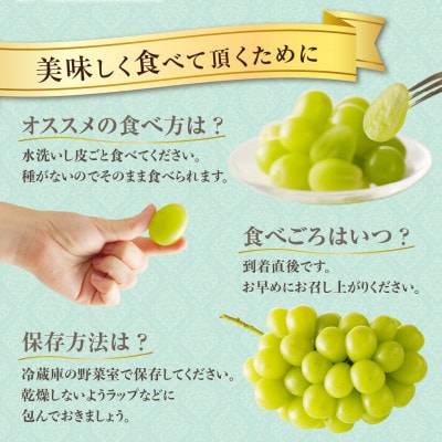 【2026年発送分 先行受付】岡山県産シャインマスカット「晴王」 秀品 1kg(2房)