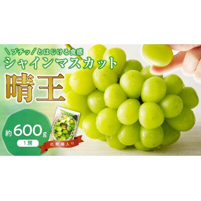 【2026年発送分 先行受付】岡山県産シャインマスカット「晴王」秀品 化粧箱入 1房(約600g)