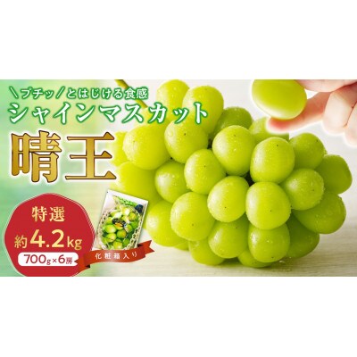 【2026年発送分 先行受付】岡山県産シャインマスカット「晴王」化粧箱入 1房(約700g)×6房