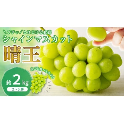 【2026年発送分 先行受付】岡山県産シャインマスカット「晴王」【ハウス栽培】(約2kg・2～5房)