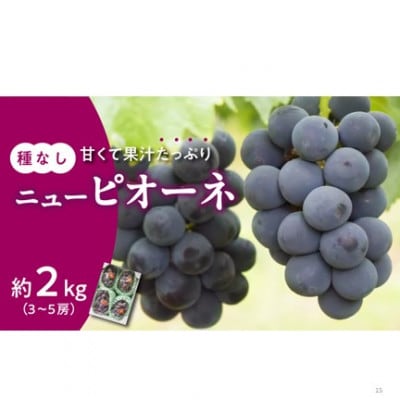 【2026年発送分 先行受付】岡山県産ニューピオーネ 秀品 約2kg(3～5房程度)