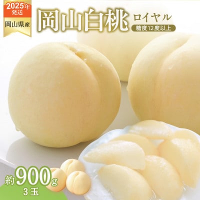 【2027年7月～8月頃発送分】岡山県産 白桃 特秀 ロイヤル 中玉 約900g 3玉