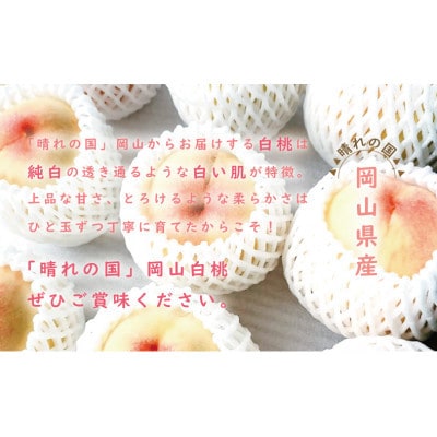 【2027年7月～8月頃発送分】岡山県産 白桃 特秀 ロイヤル 中玉 約900g 3玉