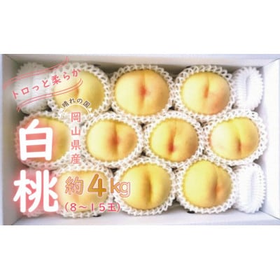 【2027年発送】白桃　約4kg　岡山県産
