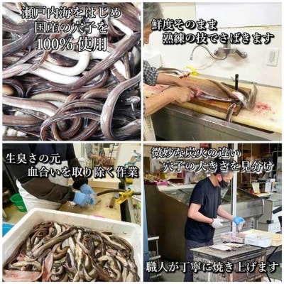 【2025年9月上旬発送】訳あり 国産 炭火焼きあなご 400g 6～12本入 小タレ付