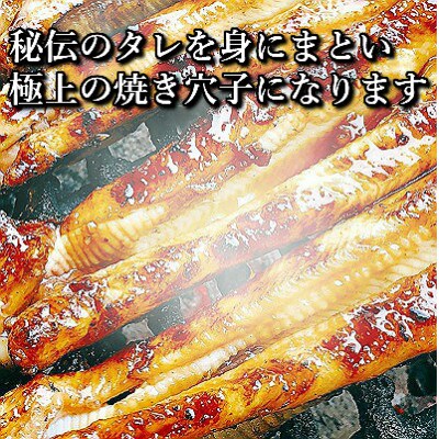 【2025年9月上旬発送】訳あり 国産 炭火焼きあなご 400g 6～12本入 小タレ付