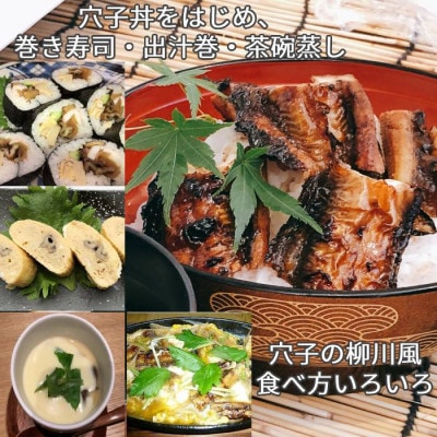 【2025年8月下旬発送】訳あり 国産 炭火焼きアナゴ 480g 7～15本入 小タレ2付