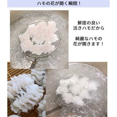 鱧の湯引き 2～3人前(300g)　梅肉・からし酢みそ付