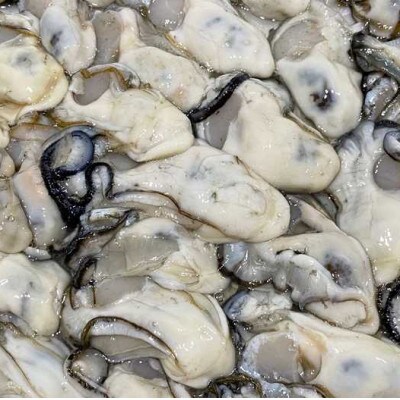 【備前・日生】岡山産食べ比べ牡蠣セット 殻付き2kgとむき身500g