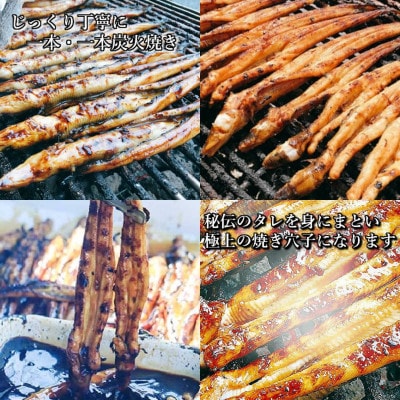 鈴木鮮魚 訳あり 国産 炭火焼き穴子 300g 5～11本入 小タレ付 3～4人前