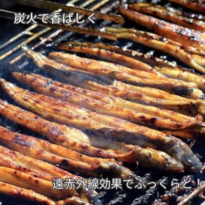鈴木鮮魚 訳あり 国産 炭火焼き穴子 500g 7～16本入 小タレ付 5～6人前