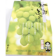 【備前葡萄】:桃太郎ぶどう(ハウス栽培)2kg　3～4房(2023年発送分) | ふるさと納税のお礼品