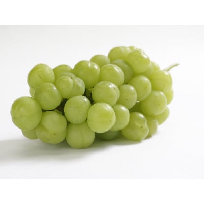 【びぜん葡萄】桃太郎ぶどう(ハウス栽培)約2kg　3～5房目安(2026年発送分)