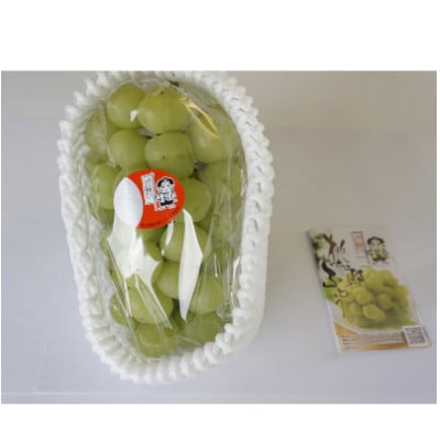 【びぜん葡萄】桃太郎ぶどう(ハウス栽培)約2kg　3～5房目安(2026年発送分)