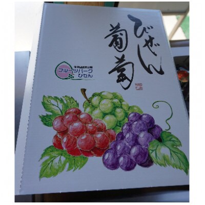 【びぜん葡萄】桃太郎ぶどうとシャインマスカット(ハウス栽培)各1房(2026年発送分)