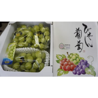 【びぜん葡萄】シャインマスカット(ハウス栽培)約2kg　3～5房(2026年発送分)