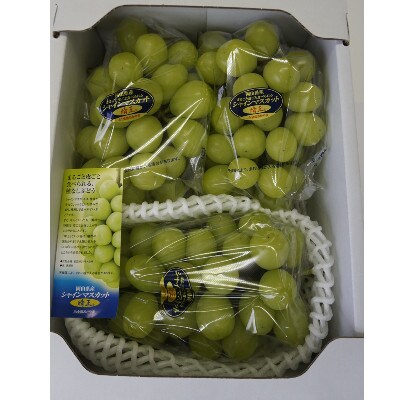 【びぜん葡萄】シャインマスカット(ハウス栽培)約2kg　3～5房(2026年発送分)