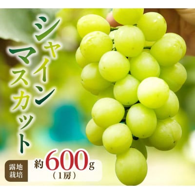 【備前葡萄】シャインマスカット(露地栽培)1房 約600g前後