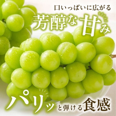 【備前葡萄】シャインマスカット(露地栽培)1房 約600g前後