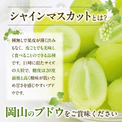 【備前葡萄】シャインマスカット(露地栽培)1房 約600g前後