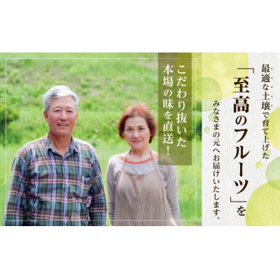 【備前葡萄】シャインマスカット(露地栽培)1房 約600g前後