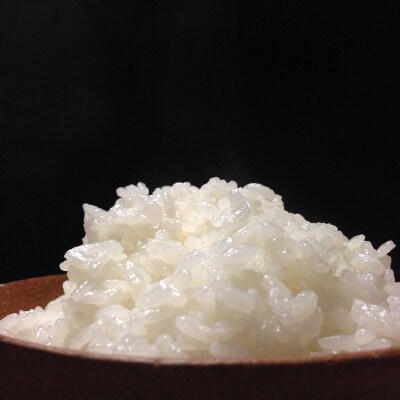 ヤギ店長お薦め特別栽培「きぬむすめ」(白米4kg)