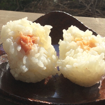 ヤギ店長お薦め特別栽培「きぬむすめ」(白米4kg)