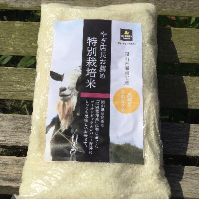 ヤギ店長お薦め特別栽培「きぬむすめ」(白米8kg)