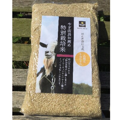 ヤギ店長お薦め特別栽培「きぬむすめ」(玄米4kg)