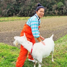 ヤギ店長お薦め特別栽培「きぬむすめ」(玄米8kg)