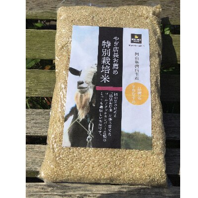 ヤギ店長お薦め特別栽培「きぬむすめ」(玄米8kg)