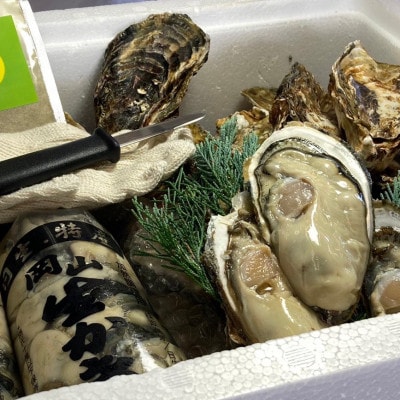 ひなせ産　牡蠣　食べ比べ　お試しセット　殻付き2.5kg　むき身0.5kg(500g×1)