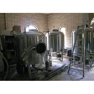 岡山・備前焼の町　老舗れんが屋のクラフトビール【オリーブの天然酵母使用】300ml×8本(要冷蔵)