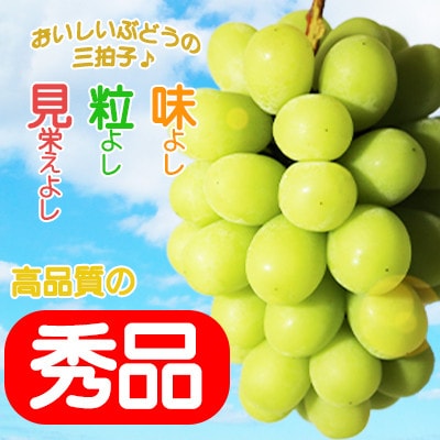岡山県産シャインマスカット晴王　2kg