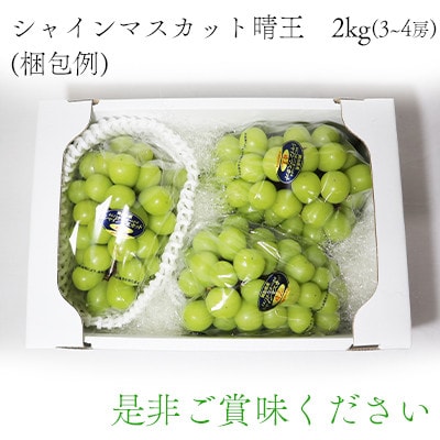岡山県産シャインマスカット晴王　2kg
