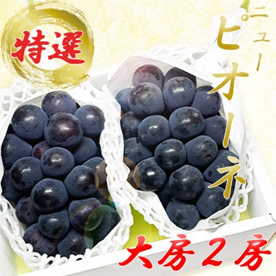 岡山県産　ニューピオーネ　大房2房