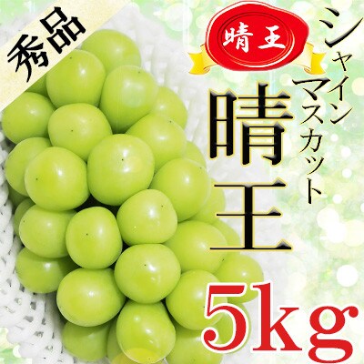 岡山県産 シャインマスカット晴王 約5キロ - 果物