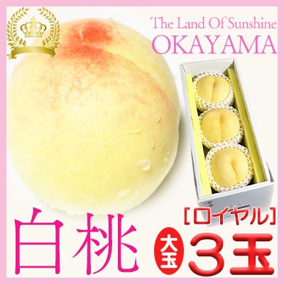 岡山県産　白桃　ロイヤル　大玉3玉