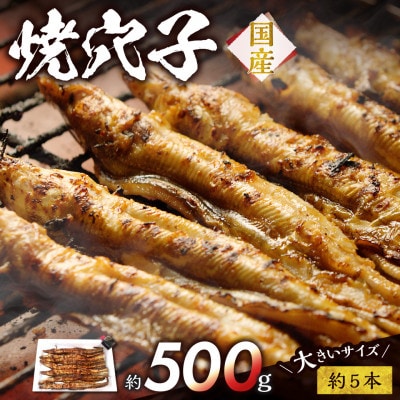 焼穴子 約500g