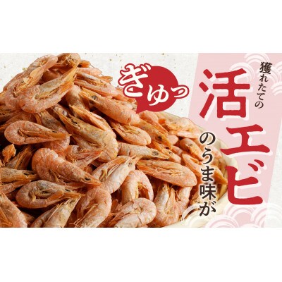 干しエビ ( 400g×1箱 )