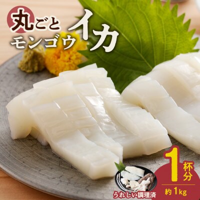 丸ごとモンゴウイカ